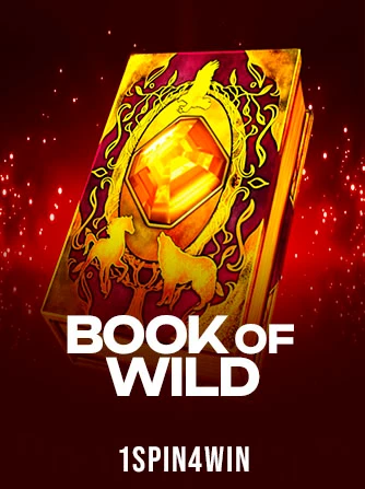 Play Book of Wild Slot by 1spin4win