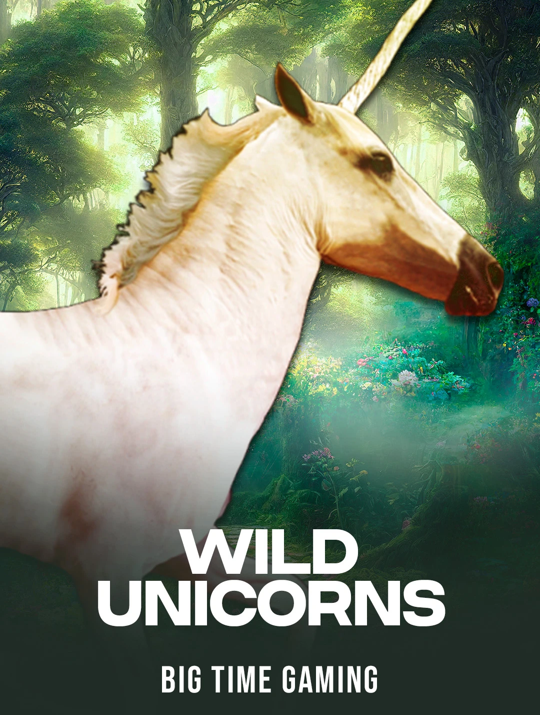 Wild Unicorns