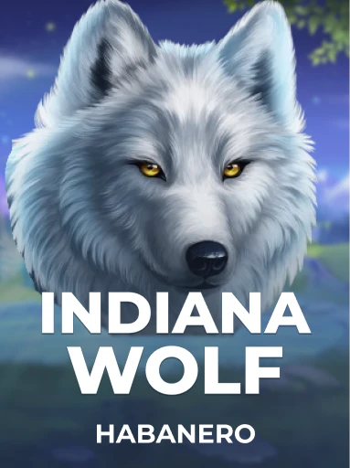 玩Habanero的Indiana Wolf老虎机