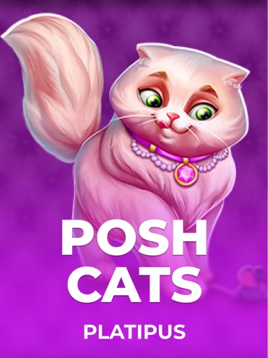 Play Posh Cats Slot by Platipus
