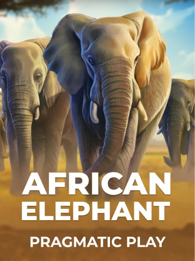 Play African Elephant Slot by Pragmatic Play