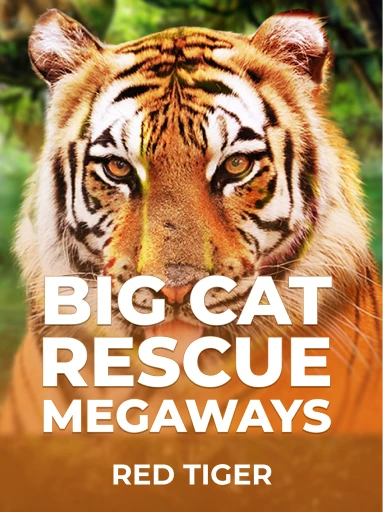 Play Big Cat Rescue MegaWays Slot by Red Tiger